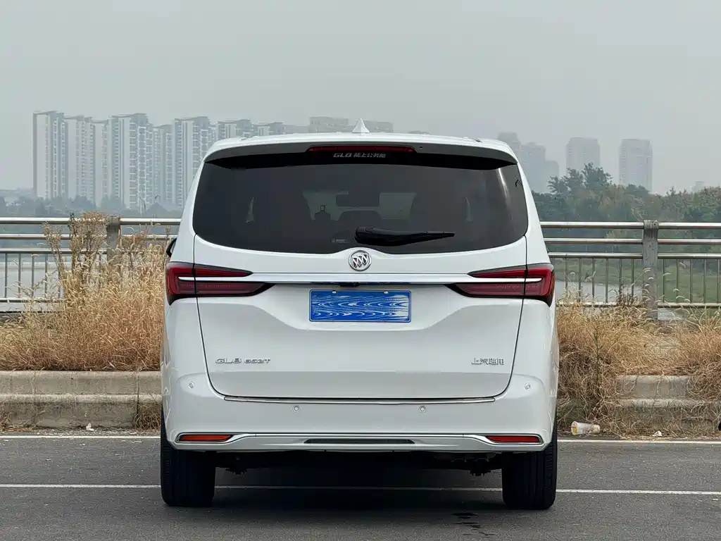 Buick GL8 — миниатюра 14