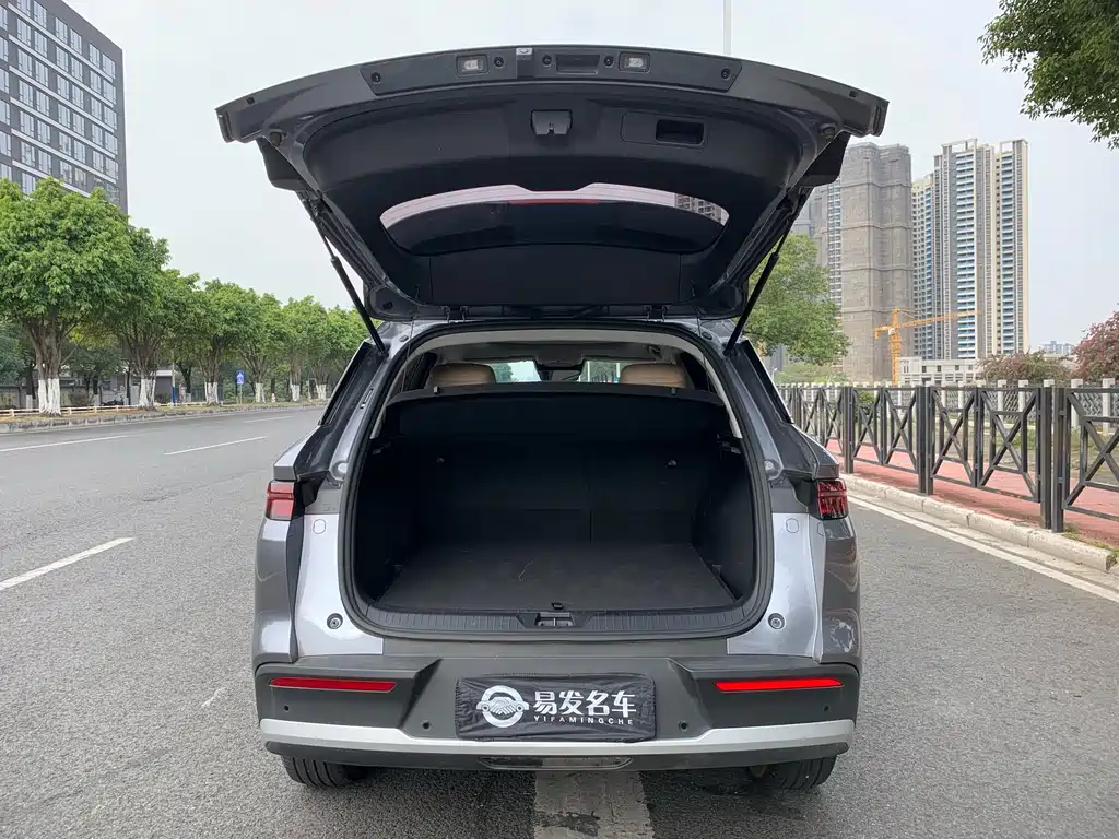 BYD SONGJIANG NEW ENERGY
