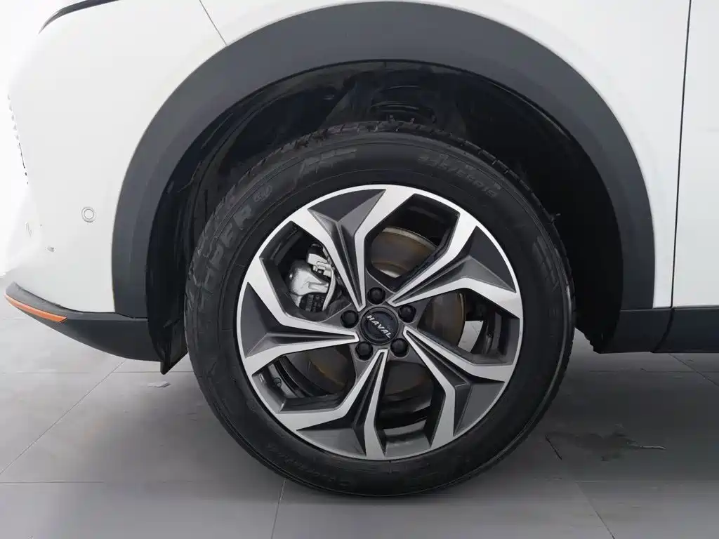 Haval Shenshou — миниатюра 17