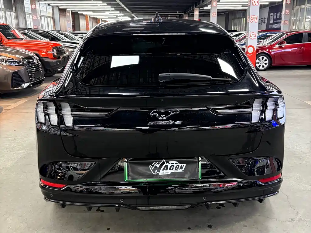 Ford Mustang Mach-E — миниатюра 6