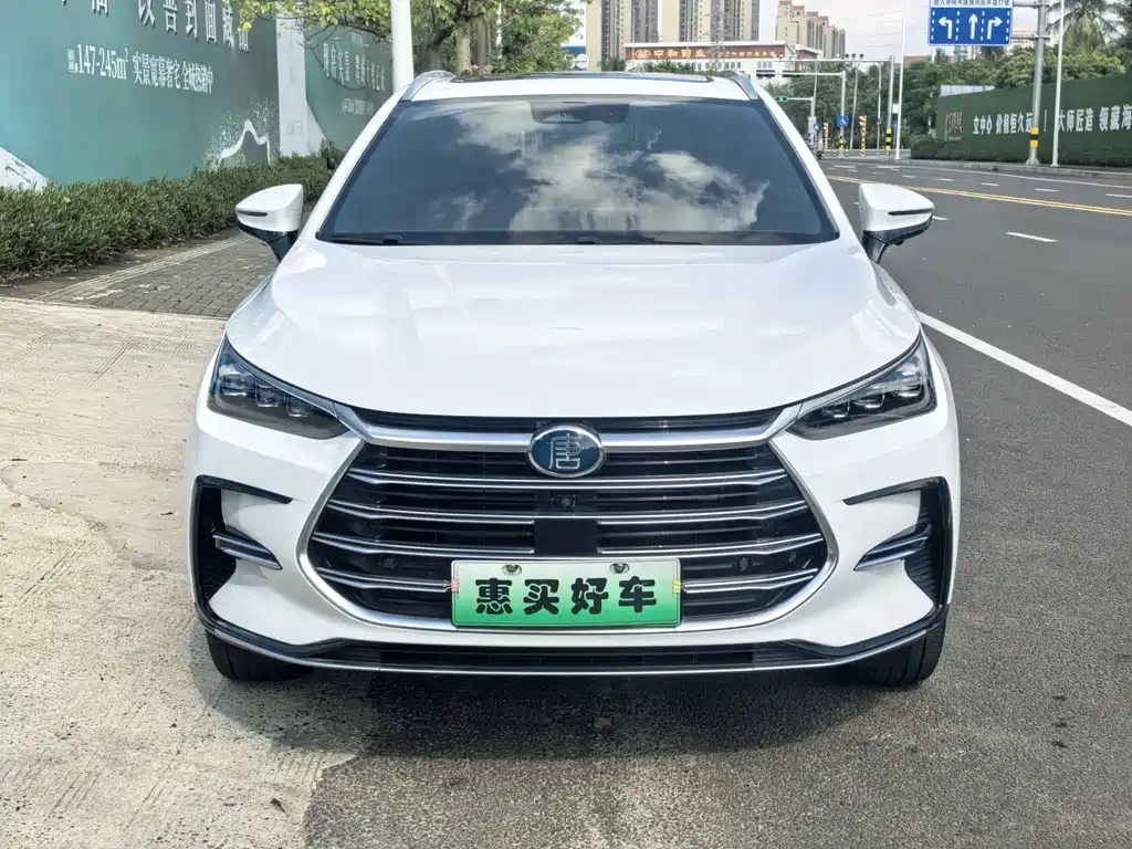 BYD Tang New Energy — миниатюра 2