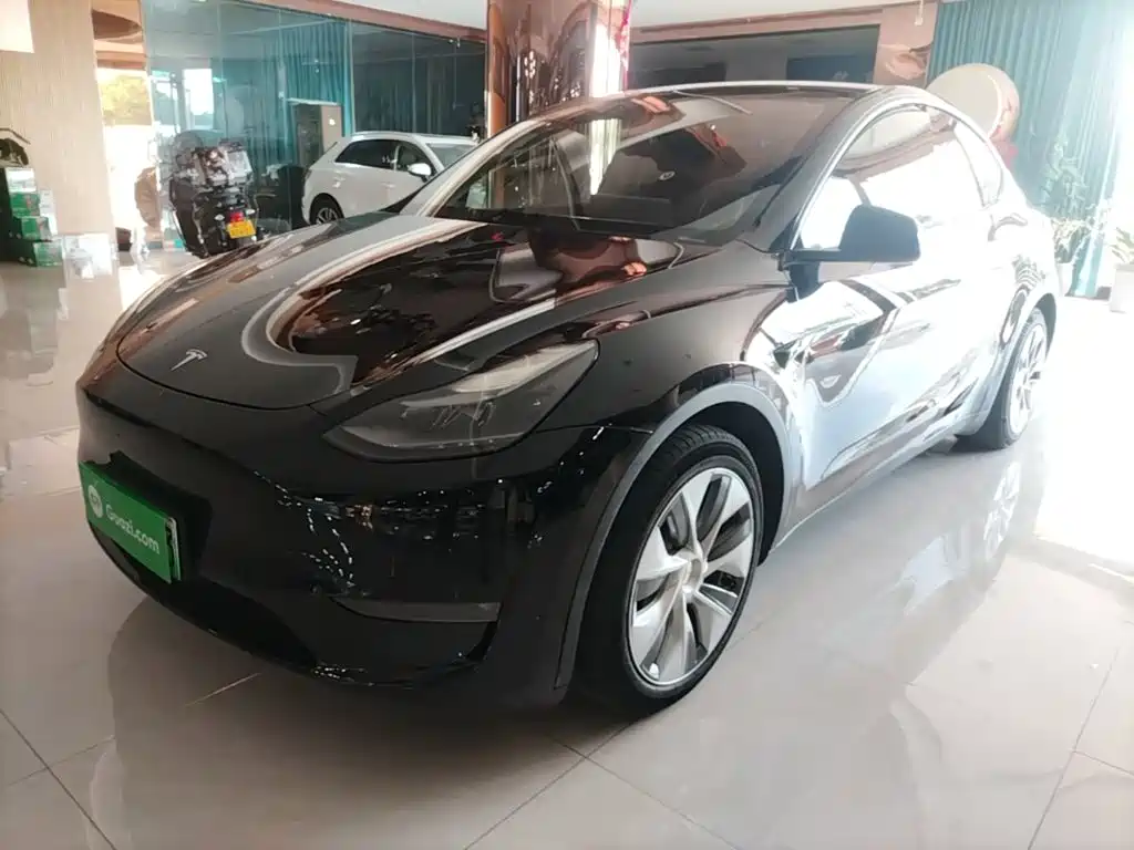 Tesla Model Y — миниатюра 2