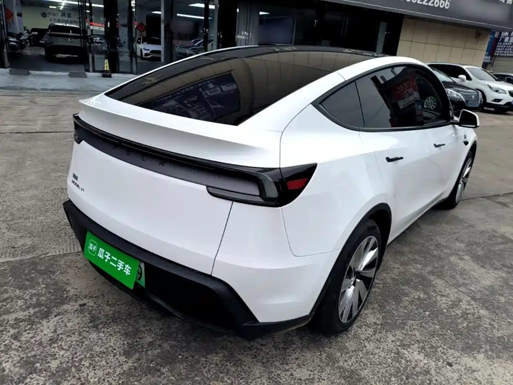 Tesla Model Y — миниатюра 7