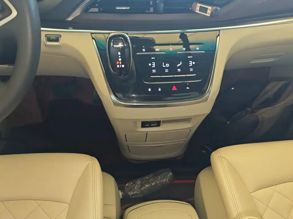 Buick GL8 — миниатюра 14