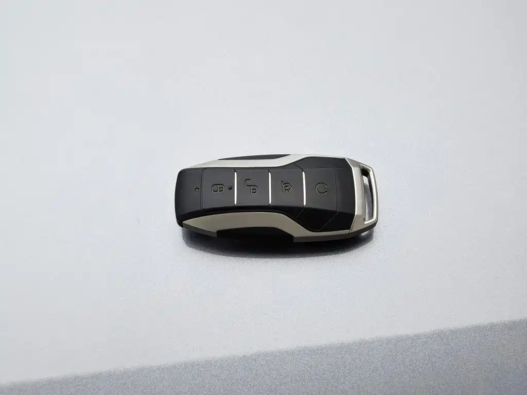 BYD PLUS New Energy — миниатюра 19