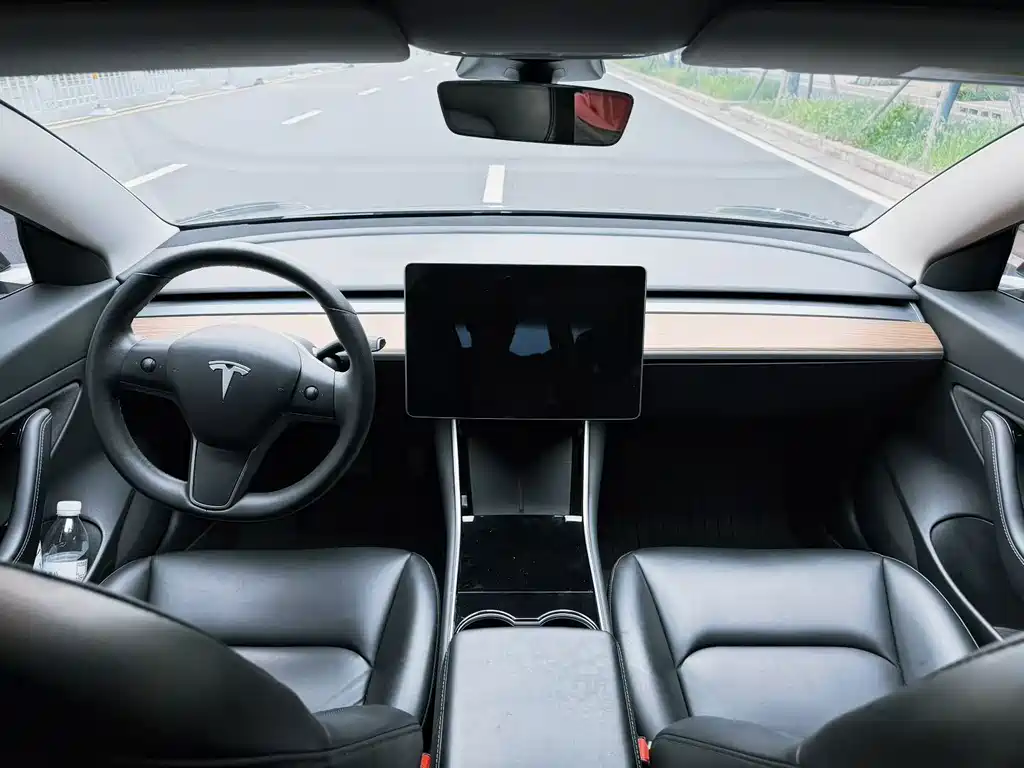 Tesla Model 3 — миниатюра 6