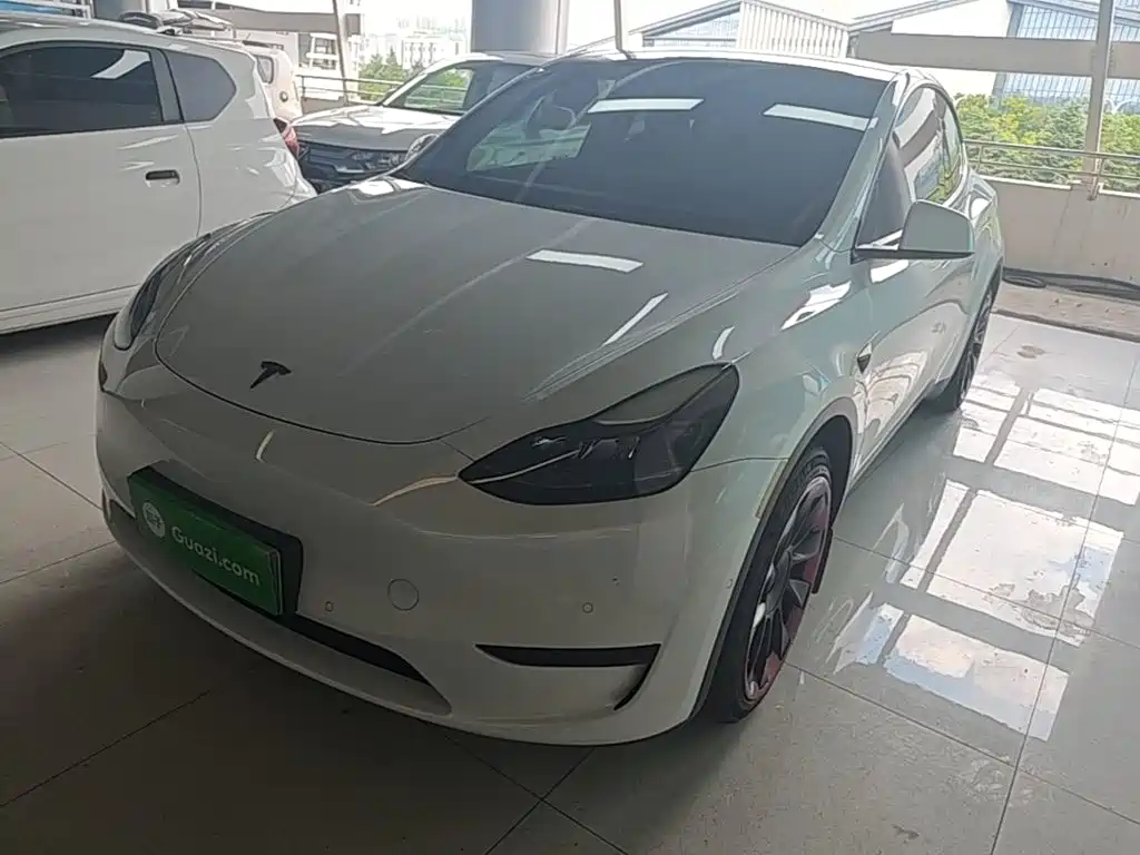 Tesla Model Y — миниатюра 2