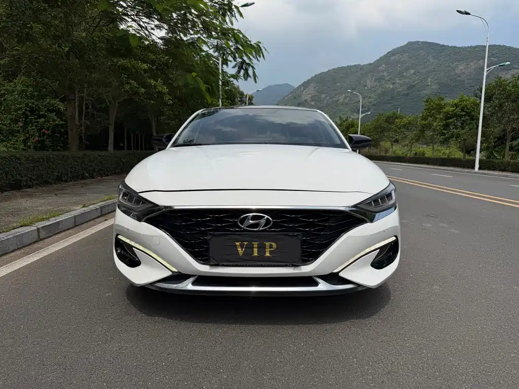 Hyundai Fista — миниатюра 2