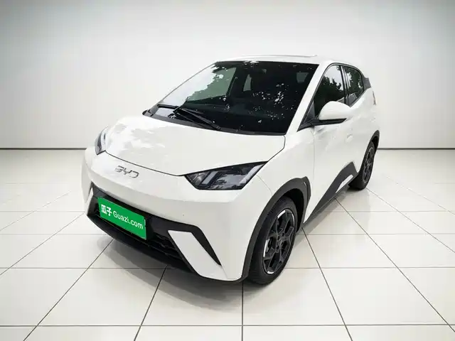 2025 BYD Seagull