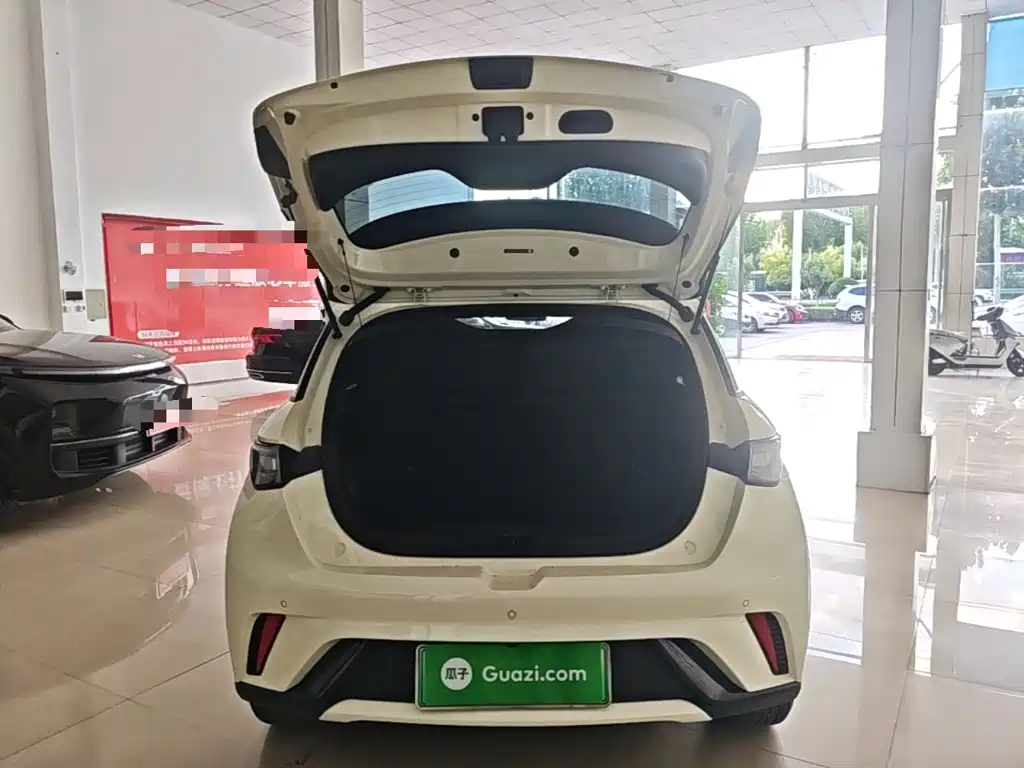 BYD Dolphin — миниатюра 19