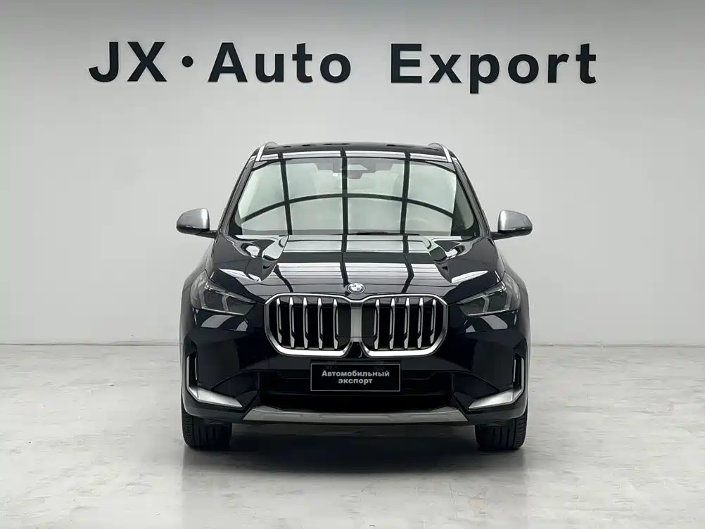 BMW X1 — миниатюра 2