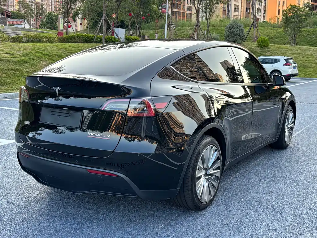 Tesla Model Y — миниатюра 8