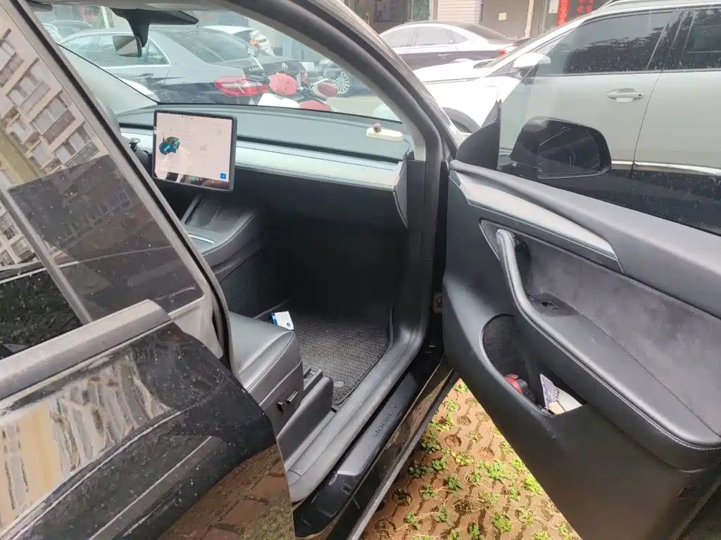 Tesla Model Y — миниатюра 19