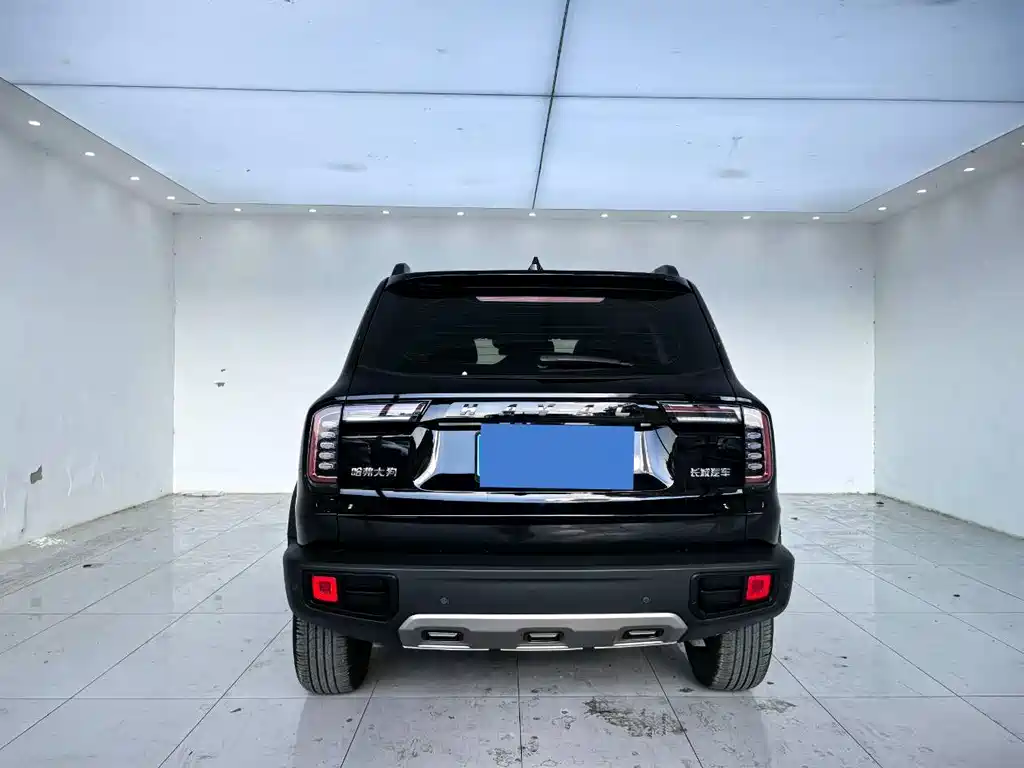 Haval Big Dog — миниатюра 11