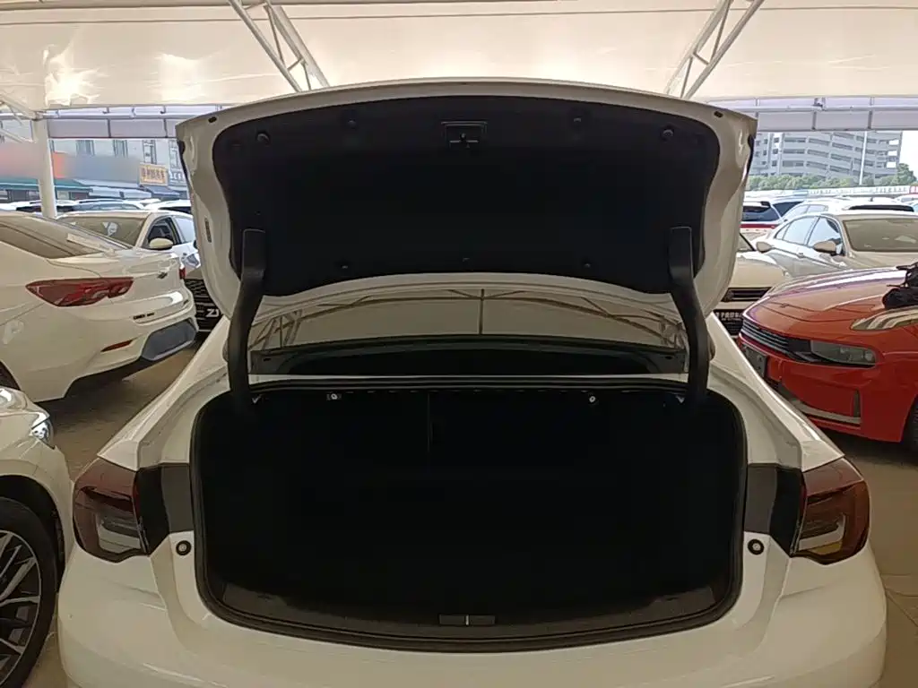 Buick Regal — миниатюра 19