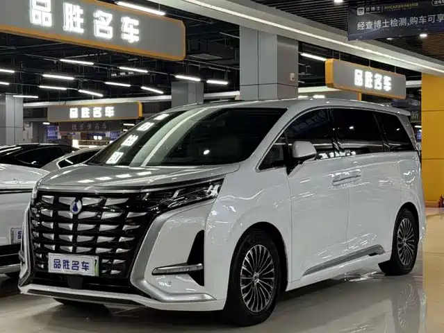 2024 Denza D9