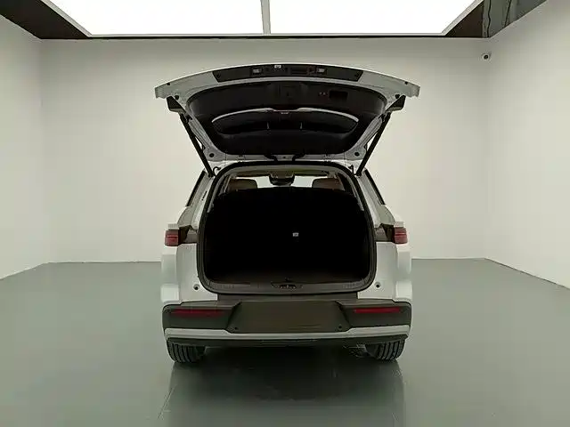 BYD Pro New Energy — миниатюра 15