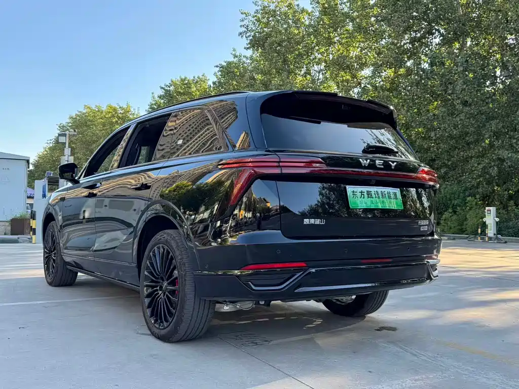 Wey Wey Lanshan — миниатюра 13