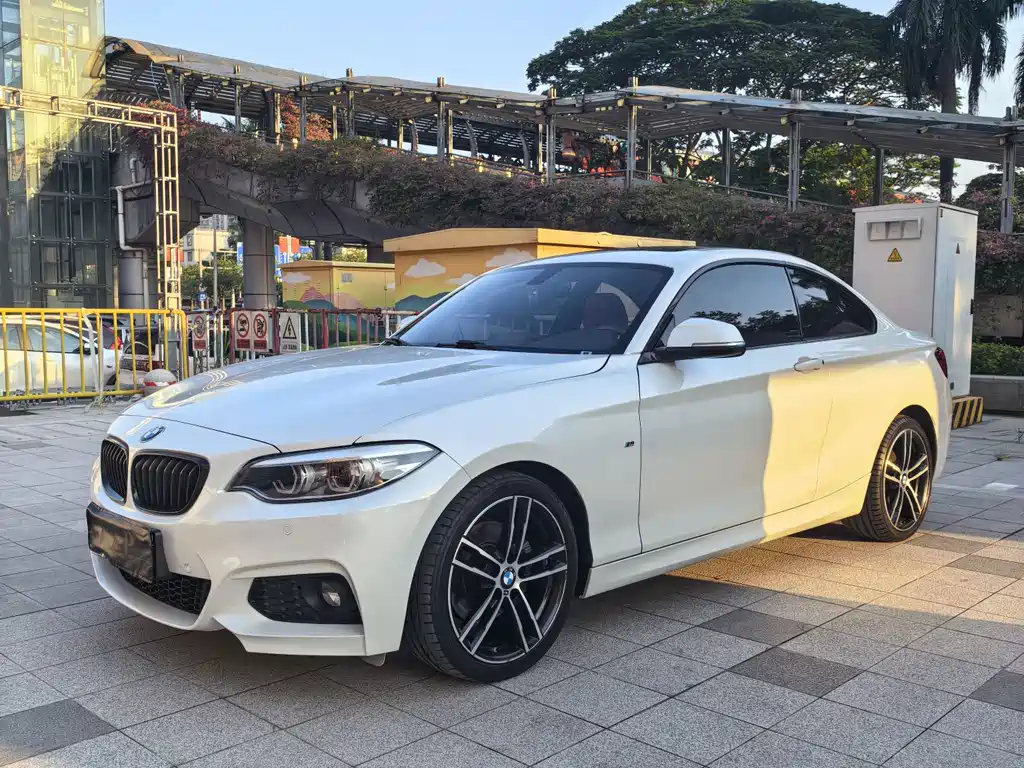 BMW 2 Series (Import)
