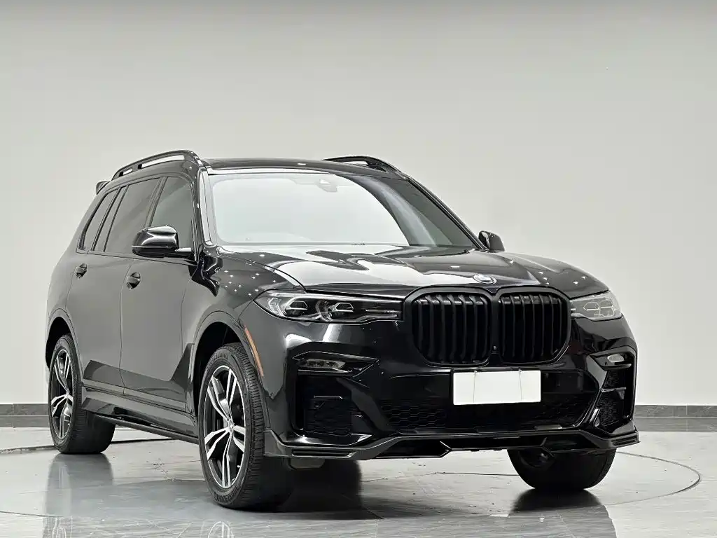 BMW X7 — миниатюра 2
