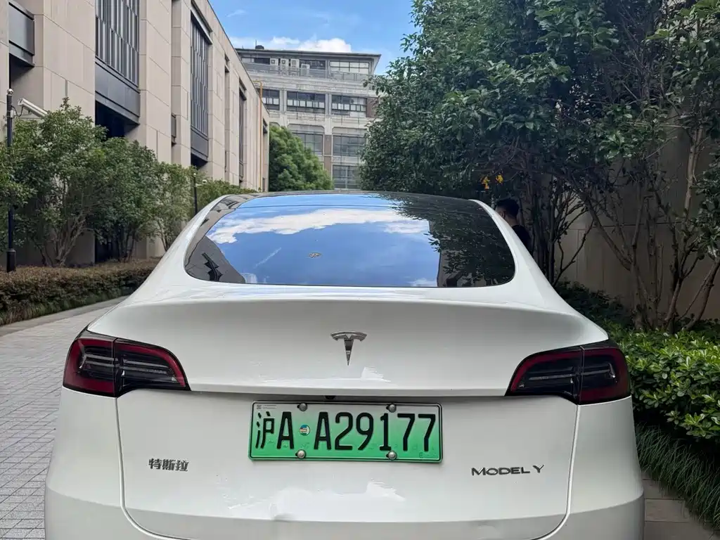 Tesla Model Y — миниатюра 3