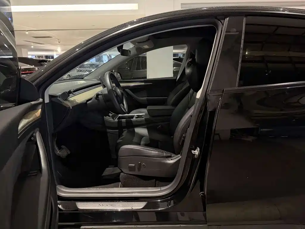 Tesla Model Y — миниатюра 4