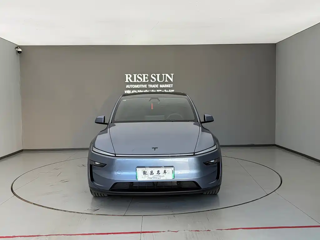 Tesla Model Y L — миниатюра 2