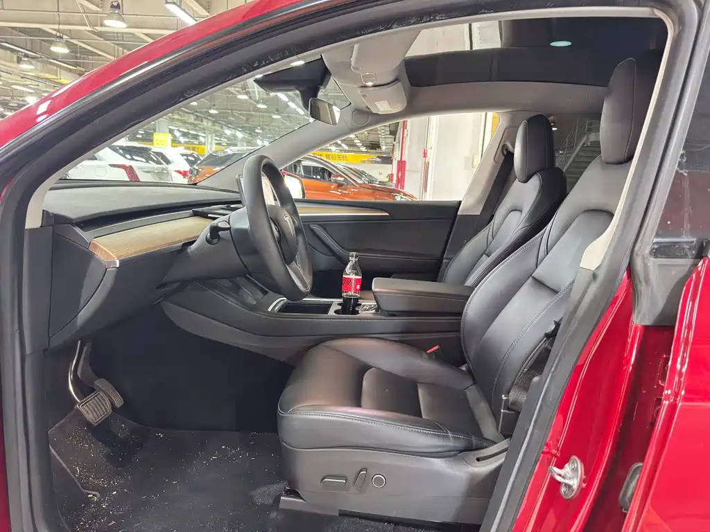 Tesla Model Y — миниатюра 7