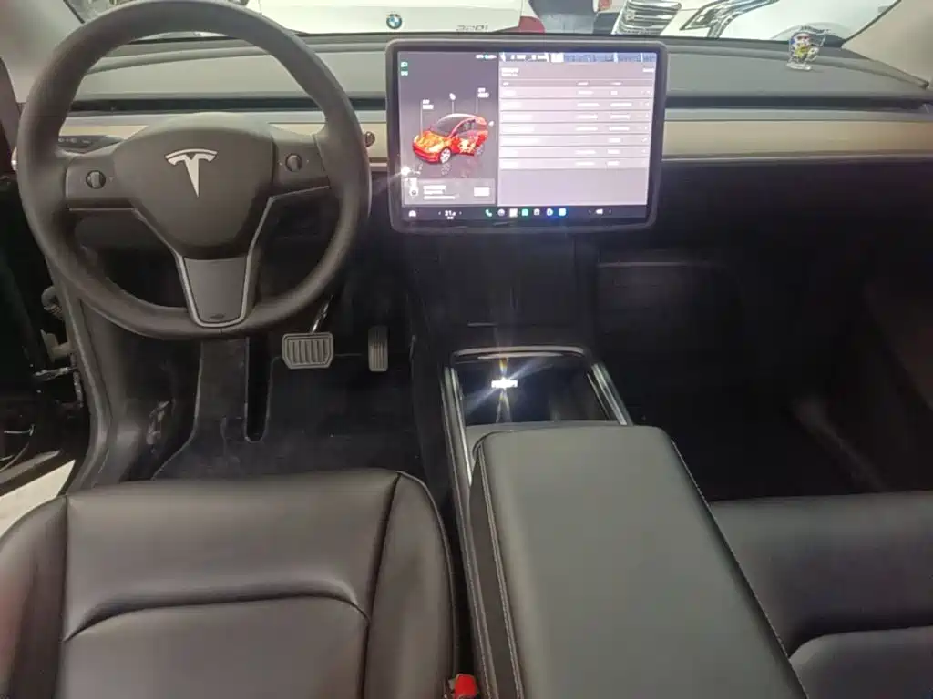 Tesla Model Y — миниатюра 10