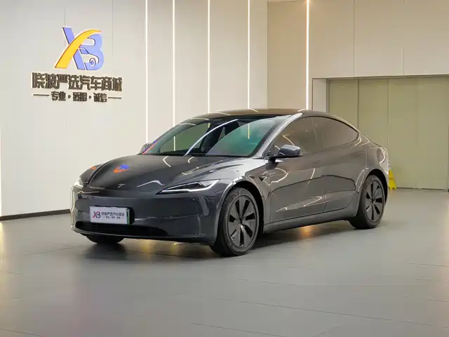 TESLA MODEL 3 2025