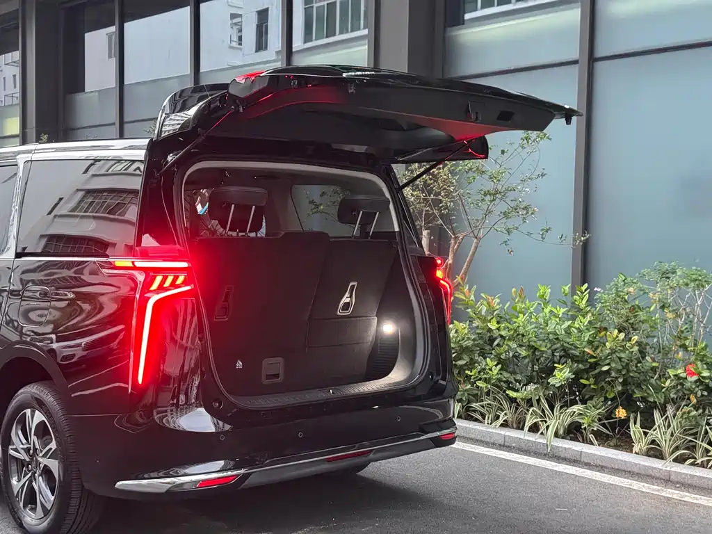 MAXUS Dajia 9 — миниатюра 9