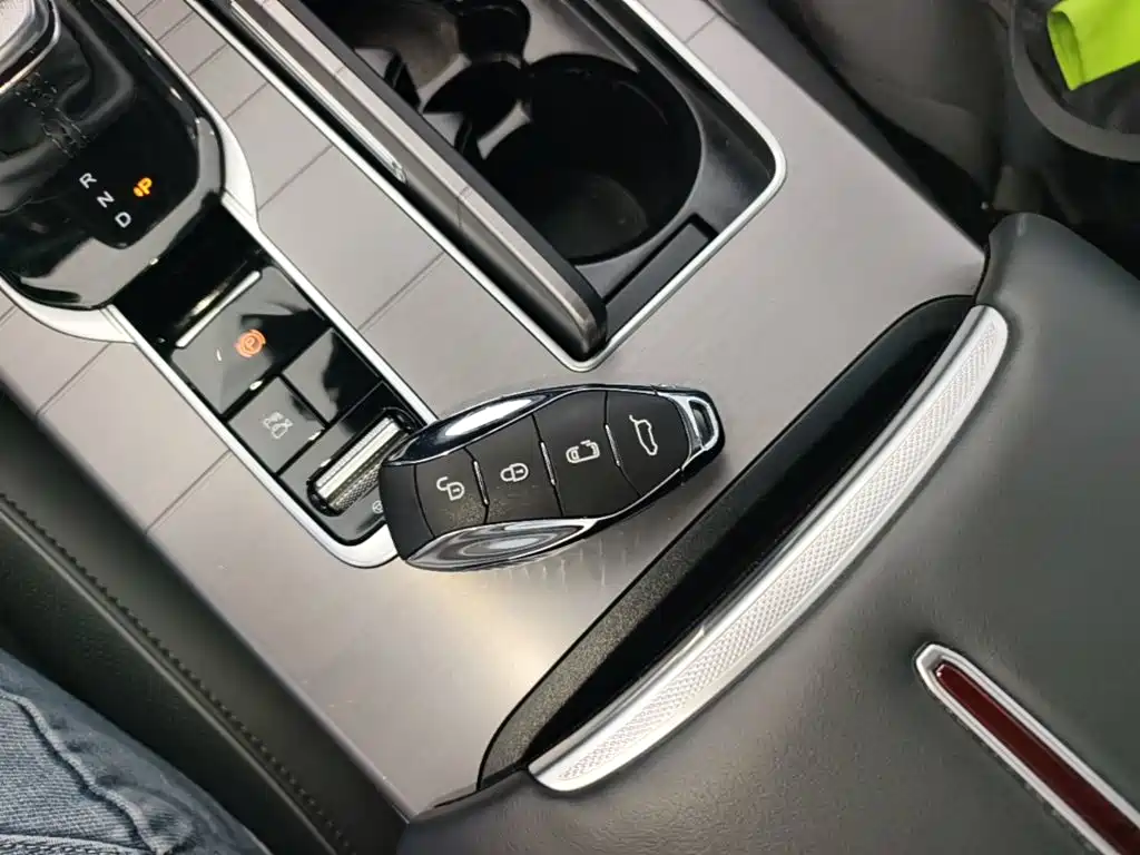 Hongqi Hongqi HS7 PHEV — миниатюра 9