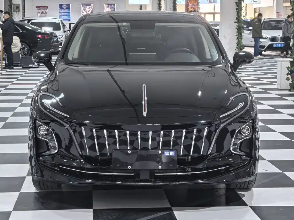 Hongqi HONGQI E QM5