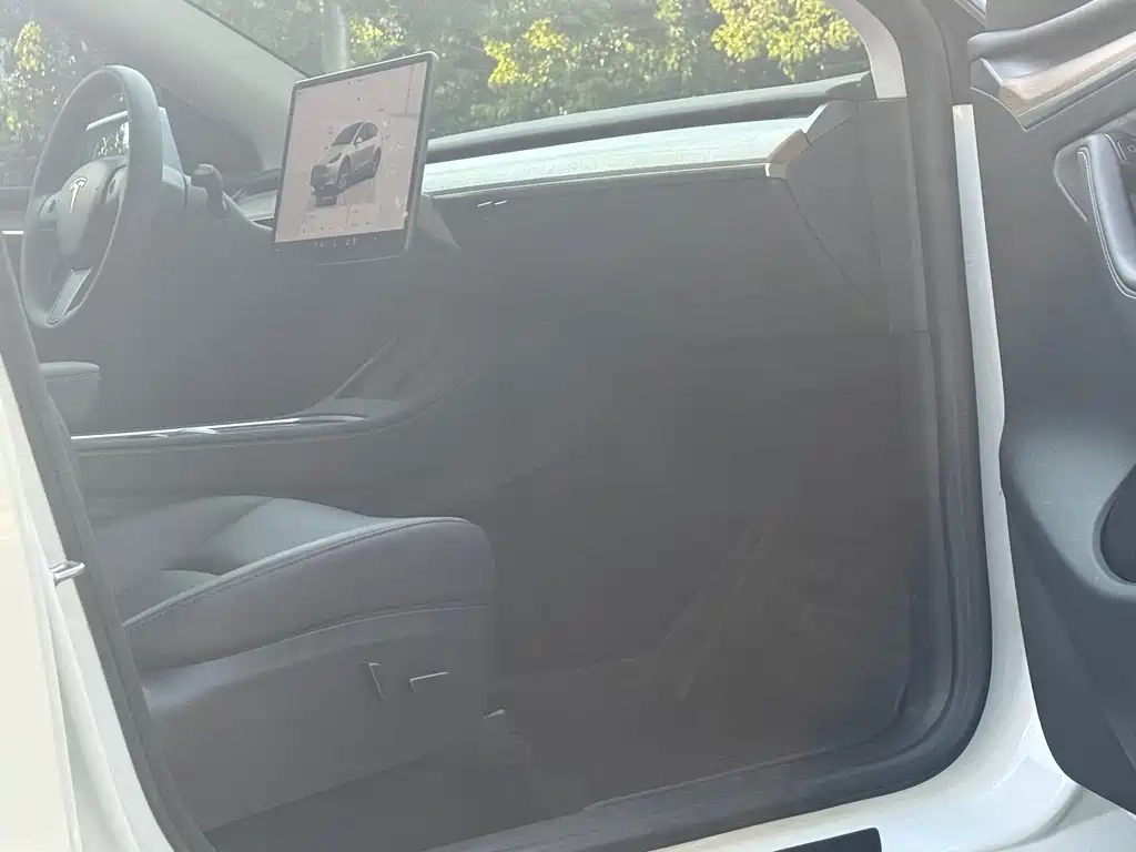 Tesla Model Y — миниатюра 14