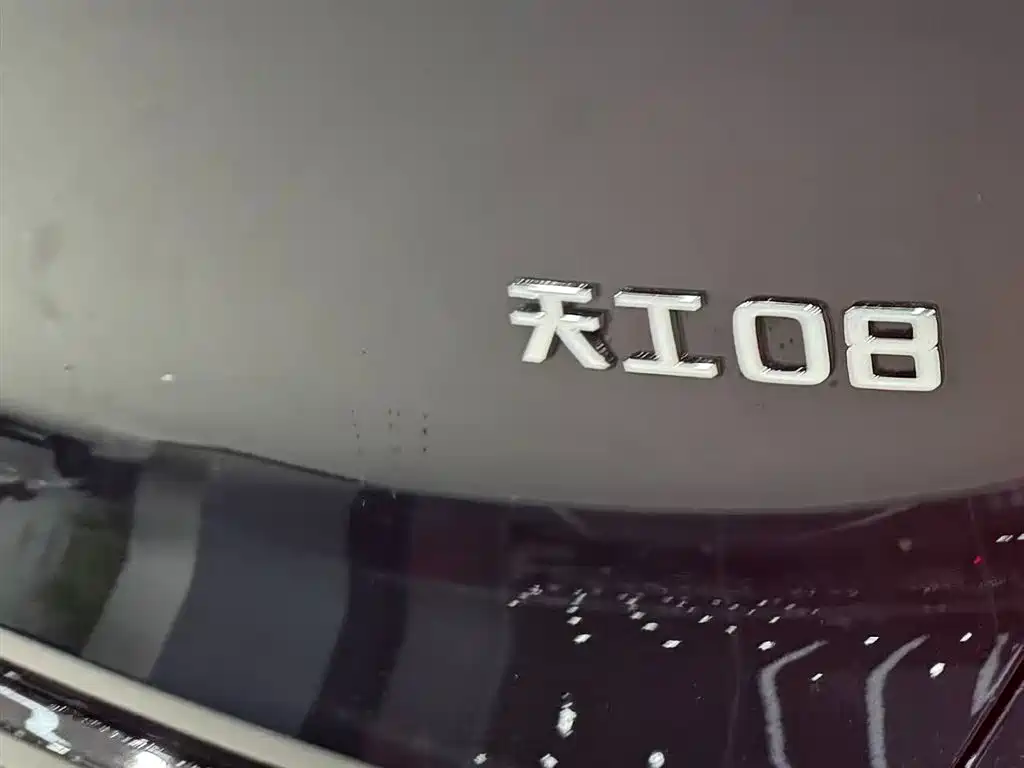 Hongqi HONGQI TIANGONG 08