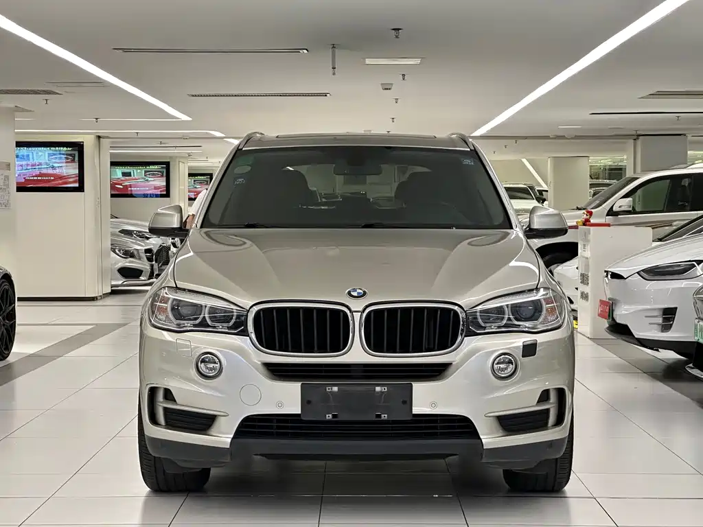BMW X5 (Import) — миниатюра 2