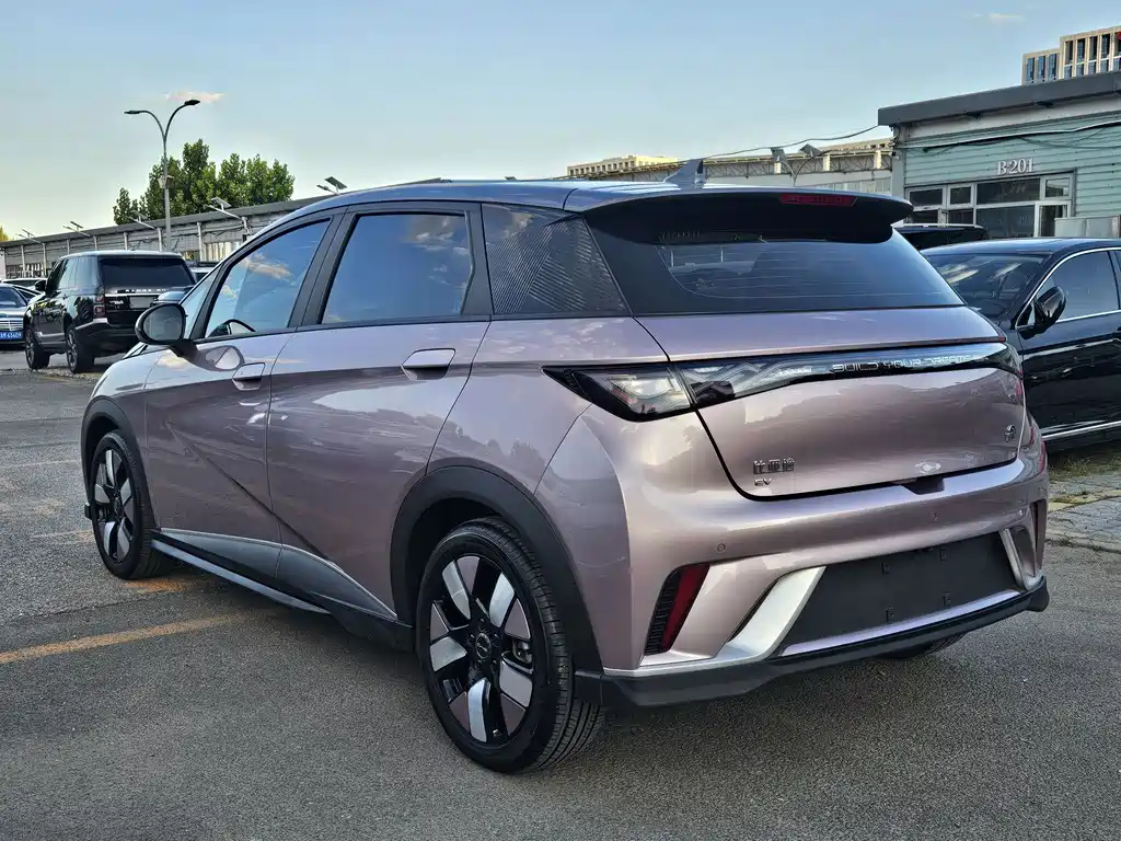 BYD Dolphin — миниатюра 3
