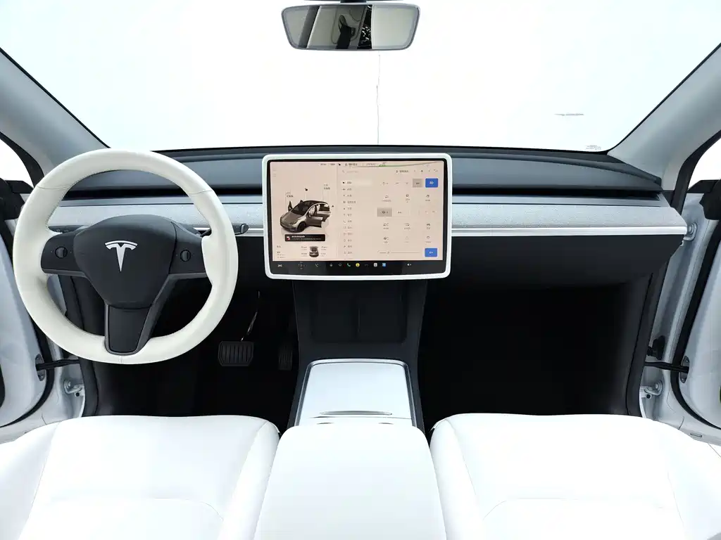 Tesla Model Y — миниатюра 7