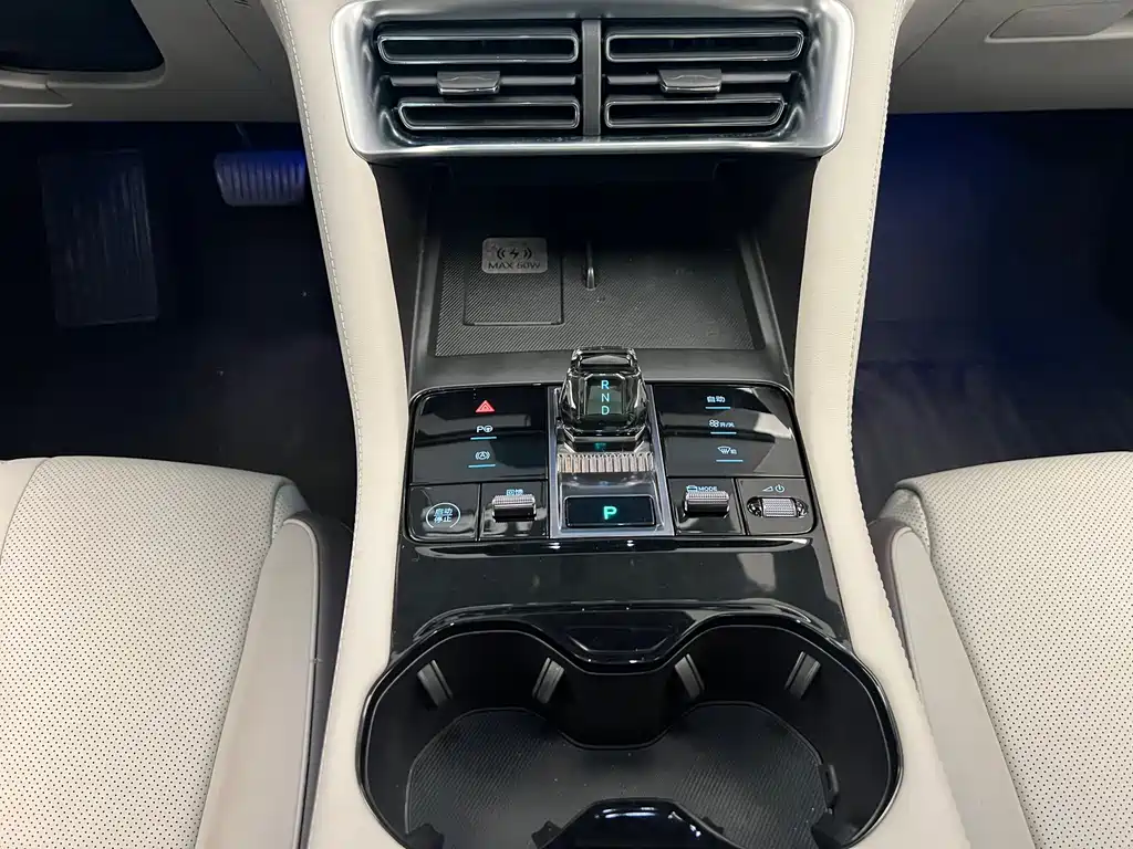 BYD SONGJIANG NEW ENERGY