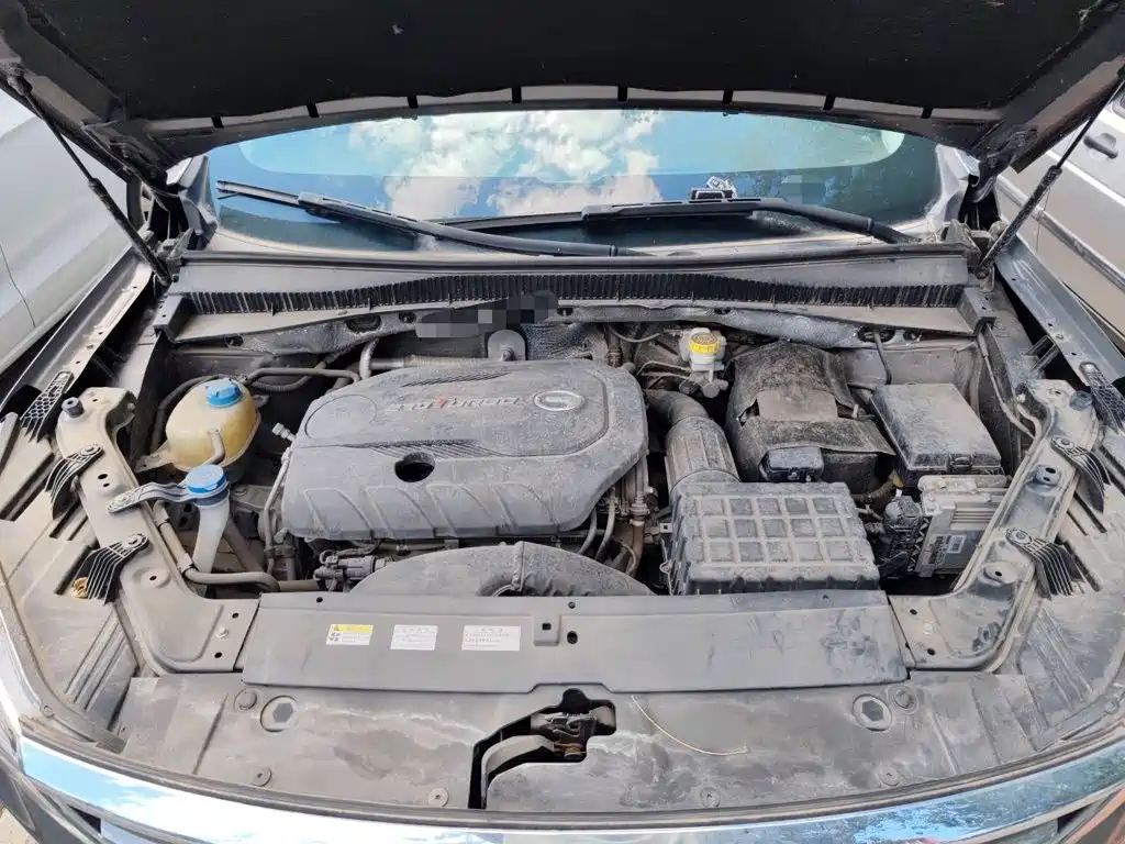 GAC Motor Trumpchi GS5 — миниатюра 16