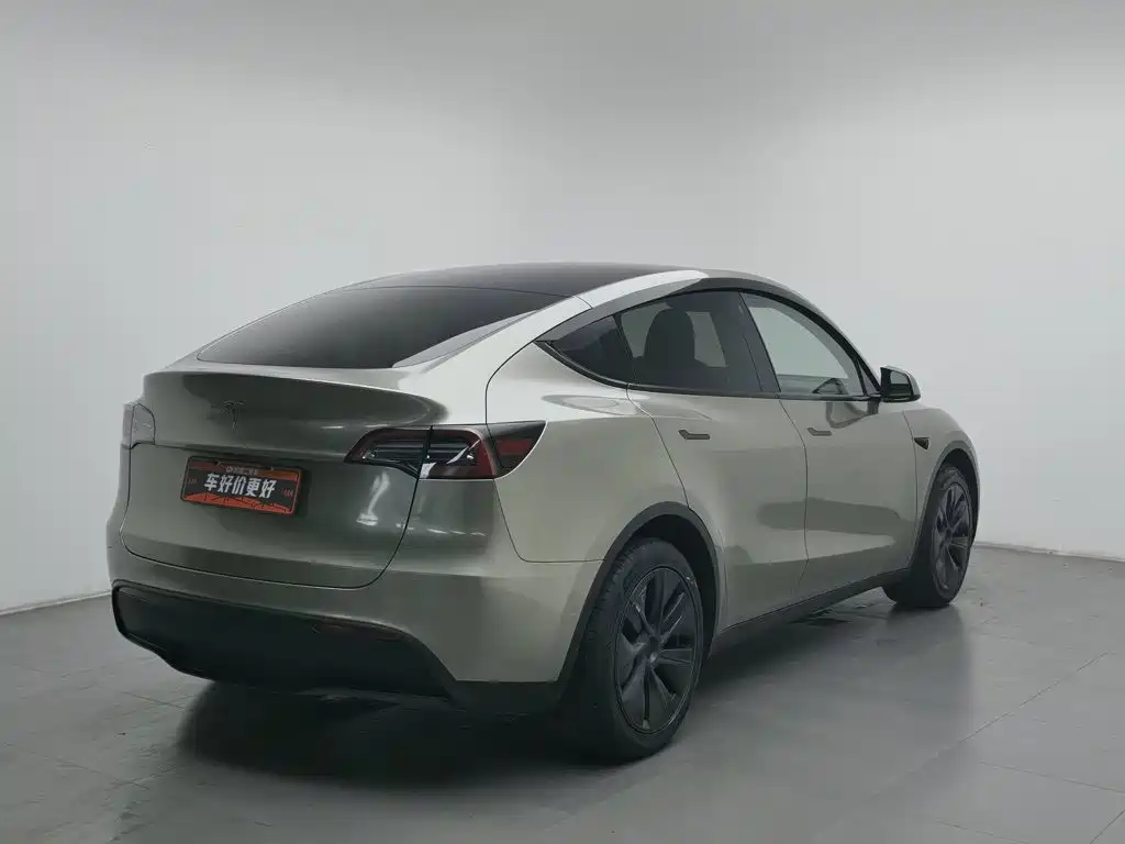 Tesla Model Y — миниатюра 2