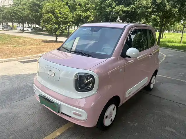 2024 Bestune Pony
