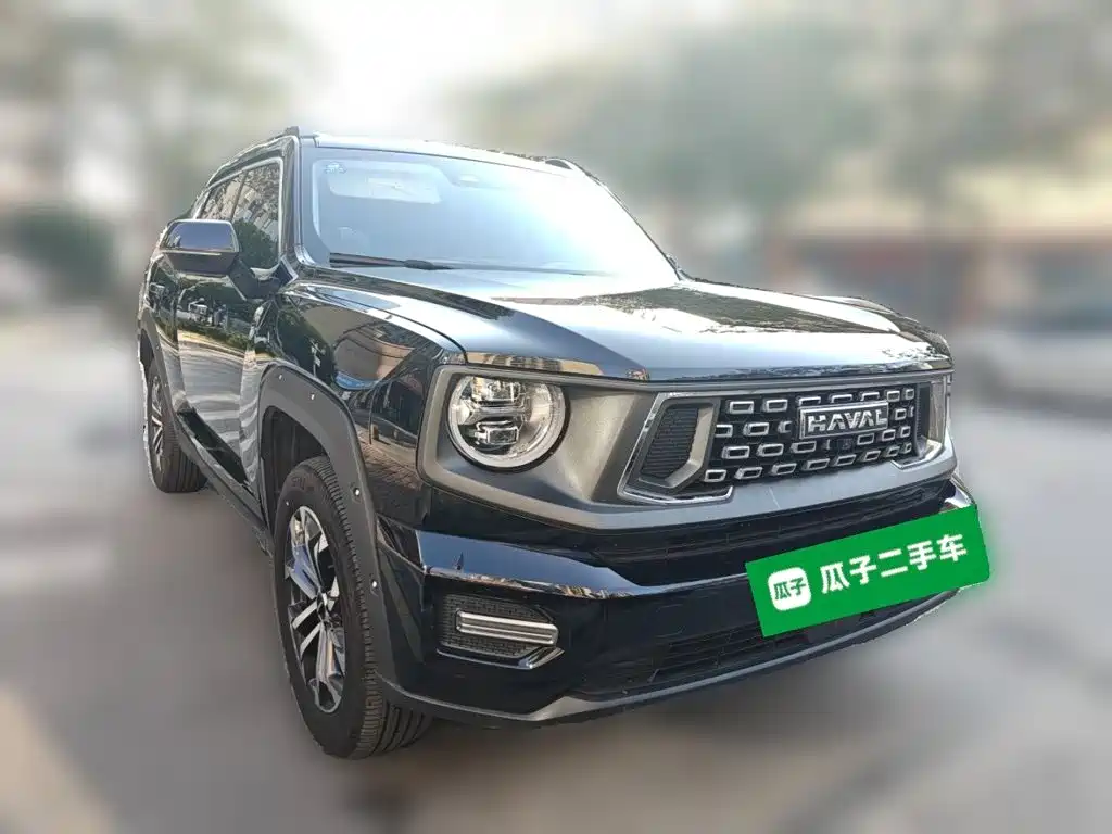 Haval Big Dog PLUS — миниатюра 3