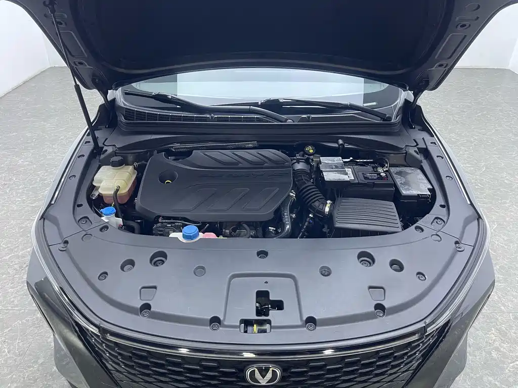 Changan Ruicheng PLUS — миниатюра 17