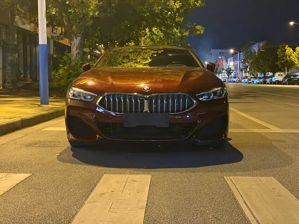 BMW 8 Series — миниатюра 2