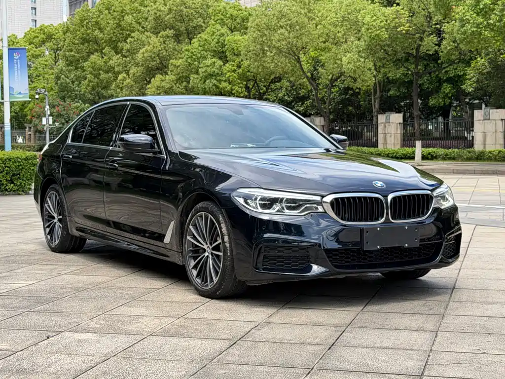 BMW 5 Series 5 2020 530Li xDrive M Sport