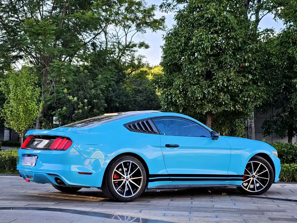 Ford Mustang — миниатюра 18