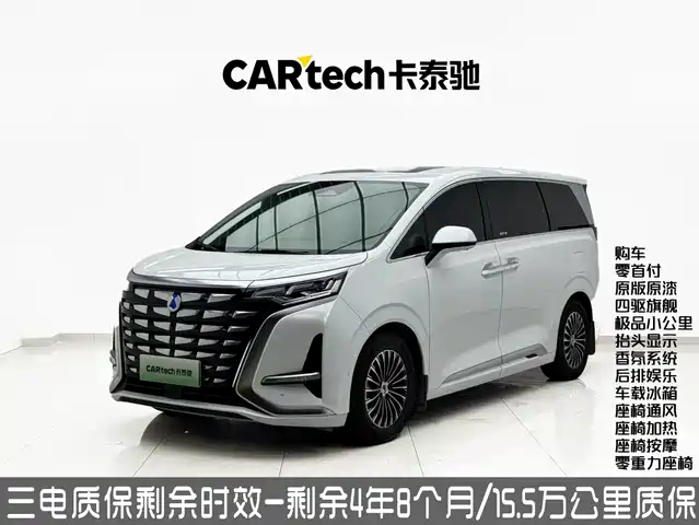 2023 Denza D9