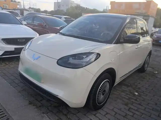 2025 Wuling Motors Binguo