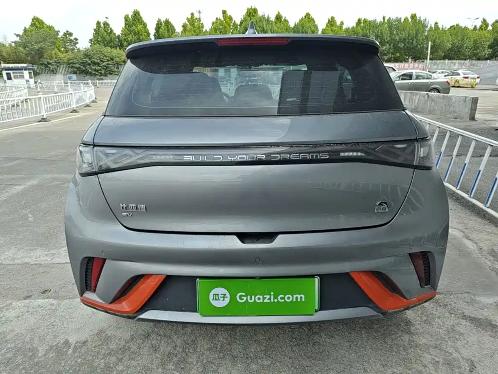 BYD Dolphin 2021 405km Freedom